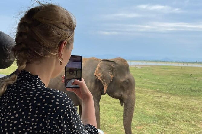 04 Hours Safari Jeep Tours - Key highlights from this 4-hour Udawalawe safari