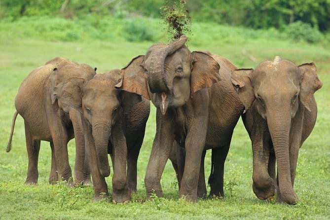 04 Hours Safari Jeep Tours - Price check, $35 per group and what you’re really buying