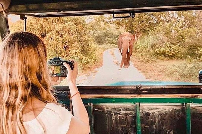 08 - Day Classic Tour with English speaking drive and Private luxury vehicles - What this 8-day Sri Lanka Classic Tour is really like
