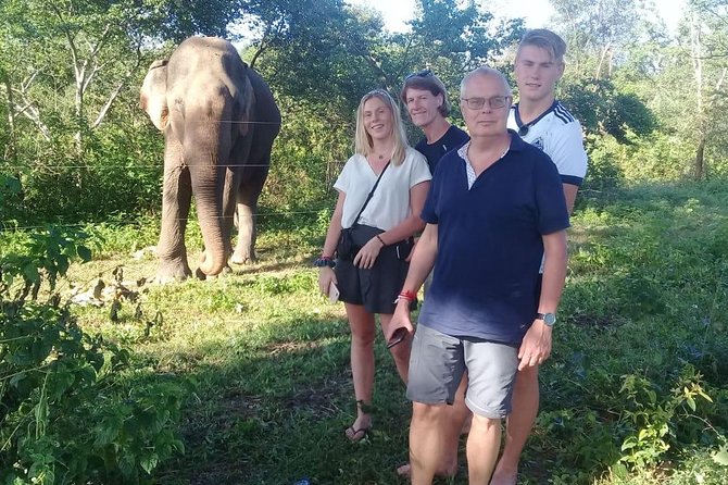 08 Nights in Magical Sri Lanka - Day 7 Sunrise Option, Nine Arches Bridge, and the Waterfall Trail