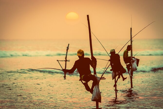 09 Days in Sri lanka - Major Attractions - Yala National Park safari and Mirissa beach: wildlife first, then slow down