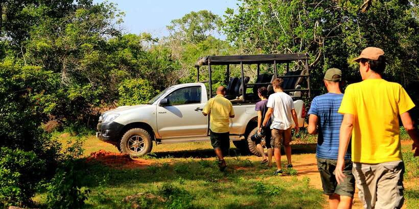 1-Day Tour of Both Yala and Udawalawe National Parks - Yala National Park Safari: Light Forests, Lagoons, and Big-Chance Sightings