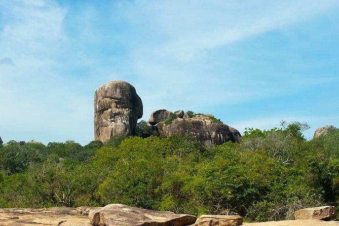1 Day tour to Yala National Park or Udawalawe National Park - Communication and comfort details that matter more than you think