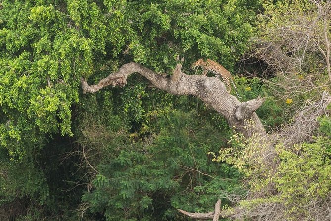 1 Day tour to Yala National Park or Udawalawe National Park - What to pack for a Yala or Udawalawe day