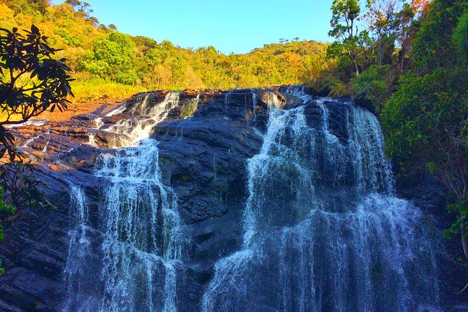 10 Day Explore Sri Lanka - Day 6: Horton Plains Early Start, Ella Train Ride, and Nine Arches