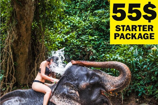 10-Day Sri Lanka Escape – Culture, Wildlife & 3 stars Hotels - Key Highlights You’ll Care About