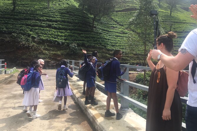 10-Day Sri Lanka Escape – Culture, Wildlife & 3 stars Hotels - The Real Value: Private Driver, Real Flexibility, Less Stress