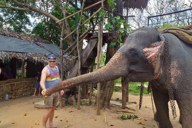 12 Days Sri Lanka Island Adventure and Wild Tour - Ella hiking, waterfalls, and the Nine Arch Bridge