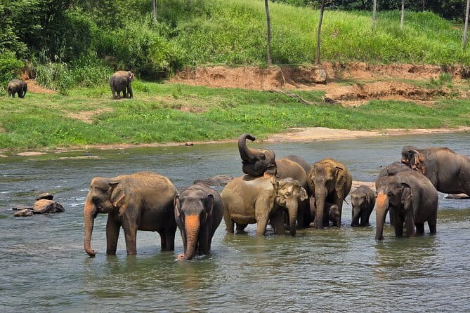 12 Days Tour Grand Discovery of Sri Lanka - Colombo to Negombo: Pettah market energy, then lagoon calm