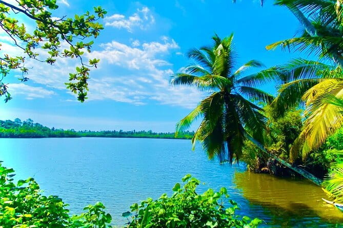 14 Days/ 13 Nights -Sri Lanka Tour on Culture, Wildlife & Beaches - Private up-to-3 group travel, with tickets and a driver who handles the tough parts
