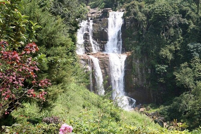 2 Day Tour of Yala & Ella with Hill Country Scenic Train Ride - All Inclusive - Hotel, meals, and the real value of an all-inclusive package