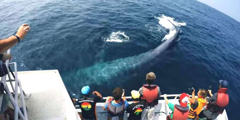 2-Day Whale Watching & Southern Sri Lanka Tour - Southern Sri Lanka in Two Days, Without Feeling Like a Whirlwind