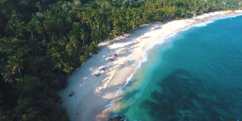 2-Day Whale Watching & Southern Sri Lanka Tour - Whale Watching in Mirissa: What You Can Expect on Day 2
