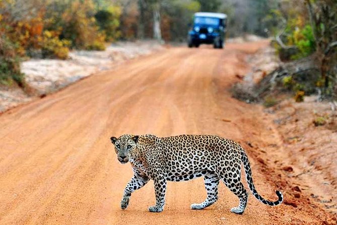 2 Days Tour of Double Safari (Yala & Udawalawe) - All Inclusive - Overnight in Yala: 3-star comfort that keeps you ready for Day 2