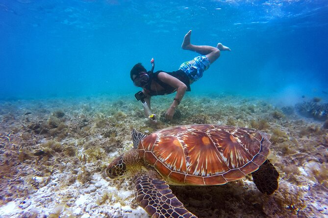 2 hours Private Snorkeling tour in Unawatuna - Key points you will care about