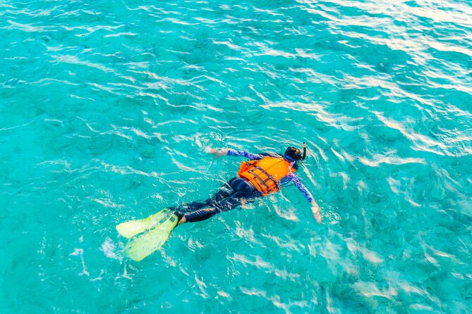 2 hours Private Snorkeling tour in Unawatuna - Shipwreck option: worth waiting for, but never guaranteed