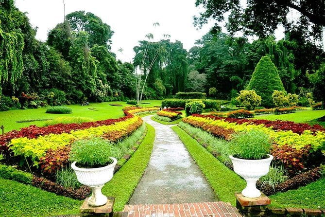2 Night /3 Days-Highlights of Sri Lanka (Days Can be extended) - Tea factory visit: seeing what ends up in your cup