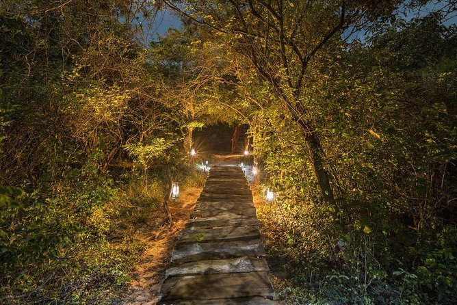 2 Nights All Inclusive Treehouse Safari in Yala with transfers - Your safari setup: naturalist-led drives and photography-friendly vehicles
