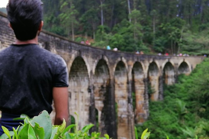 3 Days Nature and Chill Tour of Ella, Nuwara Eliya and Haputale - How the Schedule Feels: Chill Days, Real Nature Time