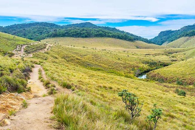 3 Days Nature and Chill Tour of Ella, Nuwara Eliya and Haputale - Tickets, Weather, and What You Should Pack