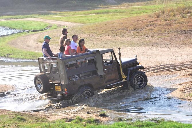 3 Days Private Tour of Yala Safari/ Ella/ Kandy - All Inclusive - Day 3: Temple of the Tooth and Peradeniya Gardens in one full cultural day