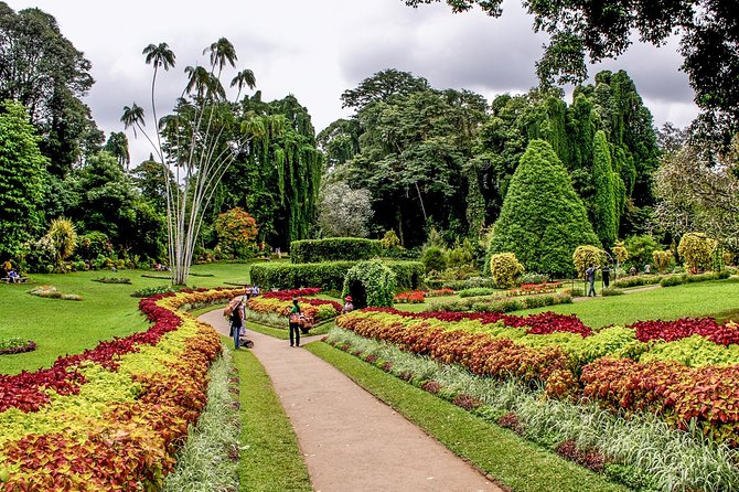 3 Days Tour to Kandy, Nuwara Eliya & Sigiriya - Who this 3-day inland circuit is best for