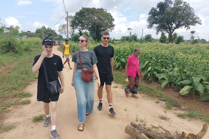 4 Days Amaizing Classic Mini Tour Sri Lanka - Key Points at a Glance