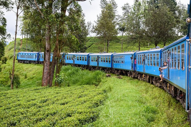 4 Days Tour to Kandy, Sigiriya & Nuwara Eliya - A 4-day route that hits Sri Lanka’s “musts” without feeling chaotic
