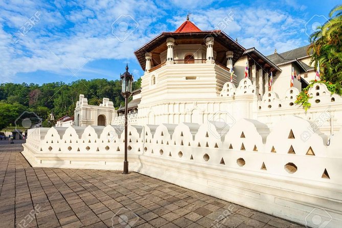4 Days Tour to Kandy, Sigiriya & Nuwara Eliya - Guides like Mohamed and Nishanta, and why a good driver matters here