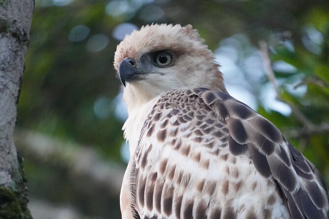 4 Hours Private Yala Safari Day Tour - Price and value: what $200.38 per person buys you