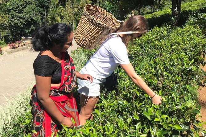 5 Days Tour in Sri Lanka (Hotels with Breakfast & Luxury Car) - Practical tips to enjoy the itinerary without rushing yourself