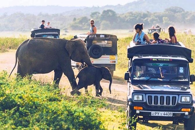 6 Days Tour of Sri Lanka - First, Know What This Sri Lanka 6-Day Sprint Really Includes