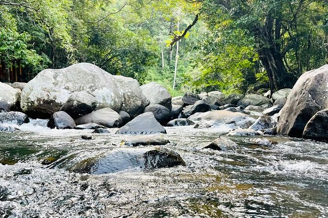 6Days Hill country Private Tour in Sri Lanka - Price and value: what $590 per person covers (and what it doesn’t)