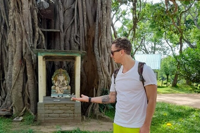 7-day tour in Sri Lanka - From Kandy base to a full Sri Lanka hits tour