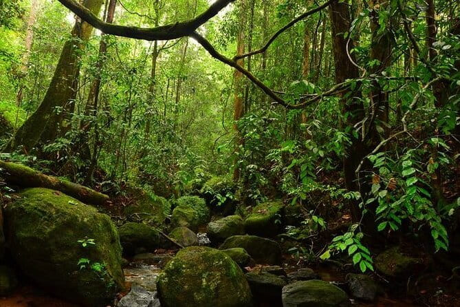 7 Days Private Guided Tour in Sri Lanka - Day 4: Nine Arches Bridge, Dunhinda Falls, and Little Adam’s Peak