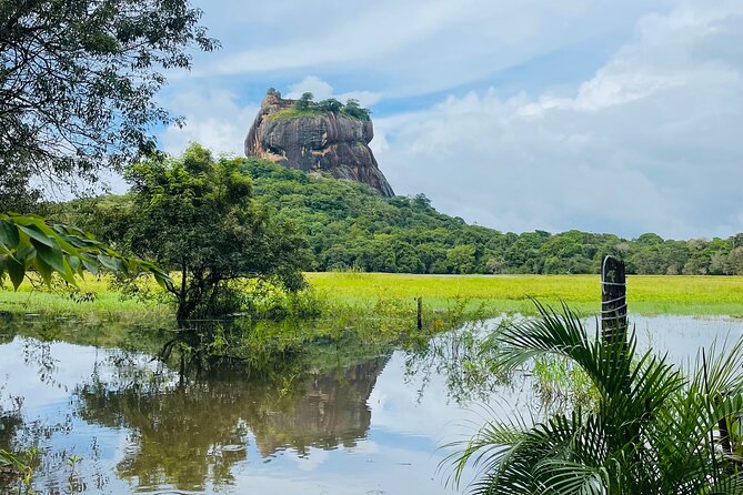 7 Days Sri Lanka Safari Tour - A private 7-day route that stays flexible