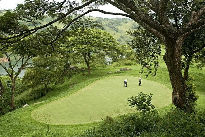 7 Days Sri Lanka Tour Chauffeur Wildlife and Heritage Adventure - The Temple of the Sacred Tooth Relic, Ramboda Falls, and Damro tea time