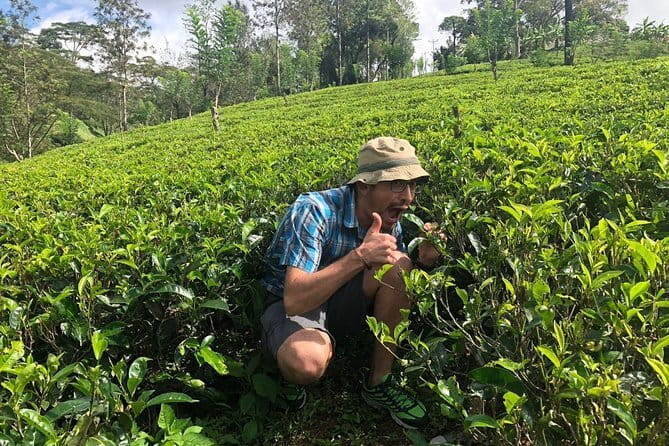 7 Days Sri Lanka Tour Chauffeur Wildlife and Heritage Adventure - Horton Plains (full day) plus the Nuwara Eliya to Ella train ride