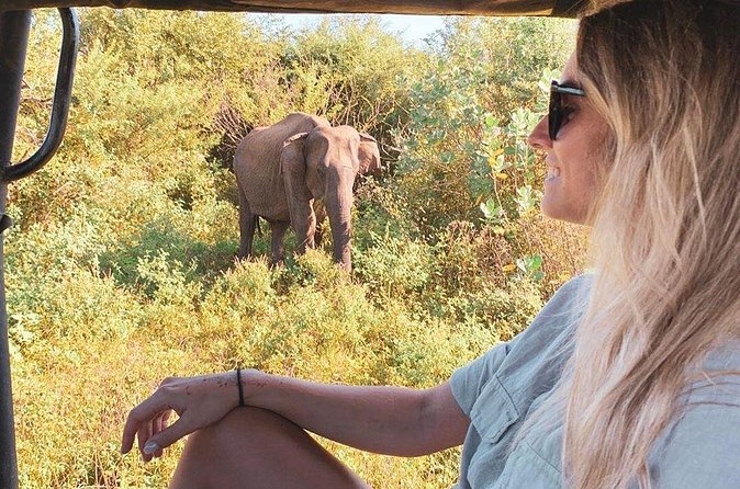 7 Days Tour in Sri Lanka Hotels with Breakfast and Luxury Car - Day 6: Ravana Ella Falls, Buduruwagala Buddha statues, then Udawalawe and Yala safaris