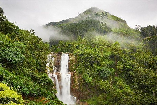 7 Nights Private Tour Of Sri Lanka - Day 3 Dambulla Golden Temple Caves and the Tooth Relic in Kandy