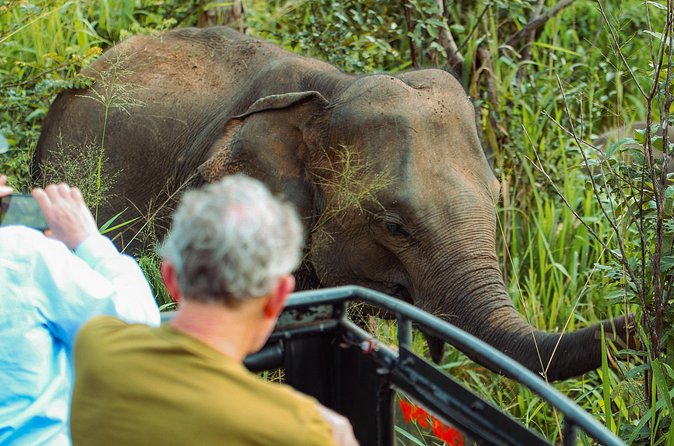 8 Day Private Sri Lanka Tour with Chauffeur - Day 3: Spice Garden education, Temple of the Tooth Relic, and Kandy culture