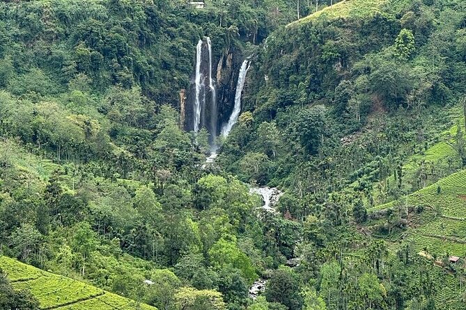 8 Days and 7 Nights Sri Lanka Tour - Dambulla caves, Spice Garden smells, and Kandy’s Sacred Tooth