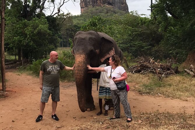 8 Days Private Guided Tour in Sri Lanka with accommodation (BB) - Sigiriya and Lion Rock: why this day feels like a movie set