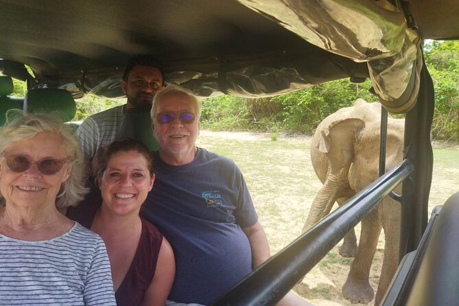 9-Day Sri Lanka Adventure with Local Guide - The train ride from Nanu Oya to Ella and Nine Arches Bridge views