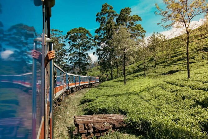 9 Days Guided Tour Through Sri Lanka - How This 9-Day Private Route Really Runs (Negombo to Galle)