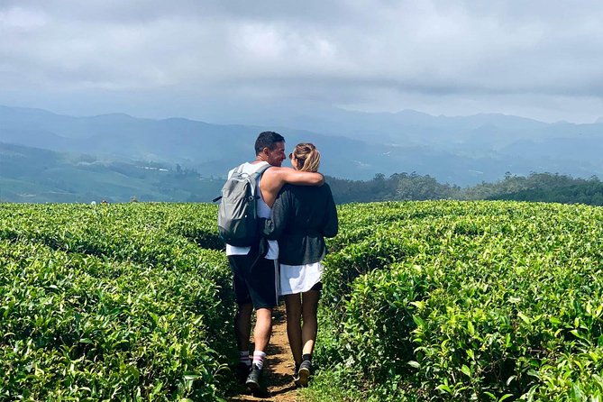 A Day in Nuwara Eliya: Sights & Local Delights - The Real Hook: Tea Fields and Parks, Not Just Points on a Map