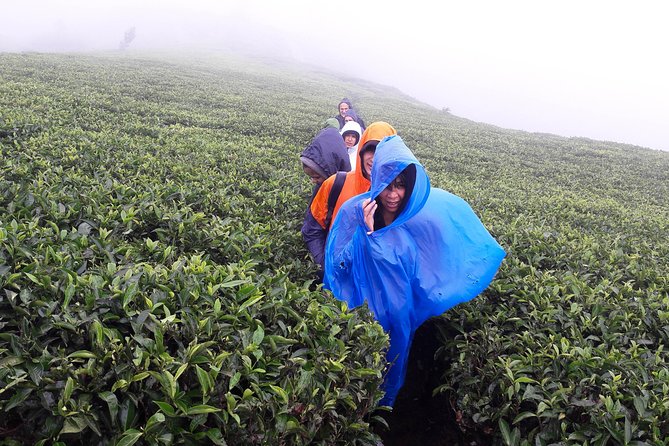 A Day in Nuwara Eliya: Sights & Local Delights - The Best Part for Most People: A Private Guide, With Real Adaptation