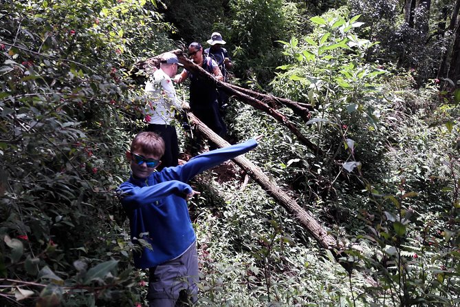 A Day in Nuwara Eliya: Sights & Local Delights - Should You Book This Nuwara Eliya Hike or Birding Tour?