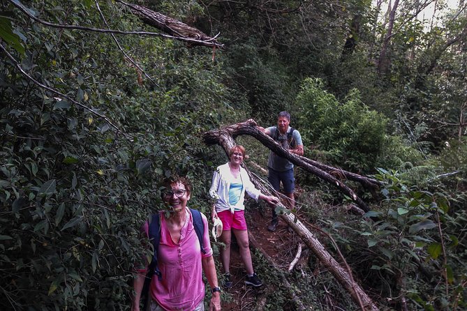 A Day in Nuwara Eliya: Sights & Local Delights - The Bird List: What You Might See (and How to Think About It)