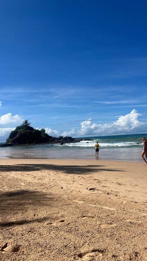 A Multi Day Tour Around Sri Lanka with Our Personal Driver - West and South Coast highlights: turtles, river ride, temples, and sunset time